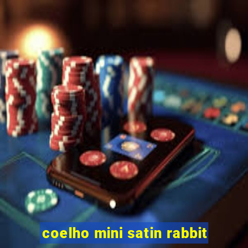 coelho mini satin rabbit